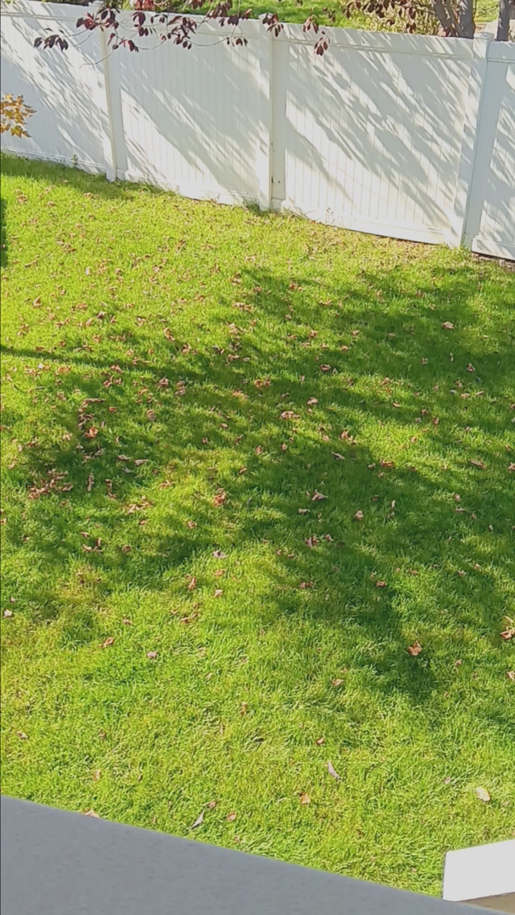 Raw footage no editing