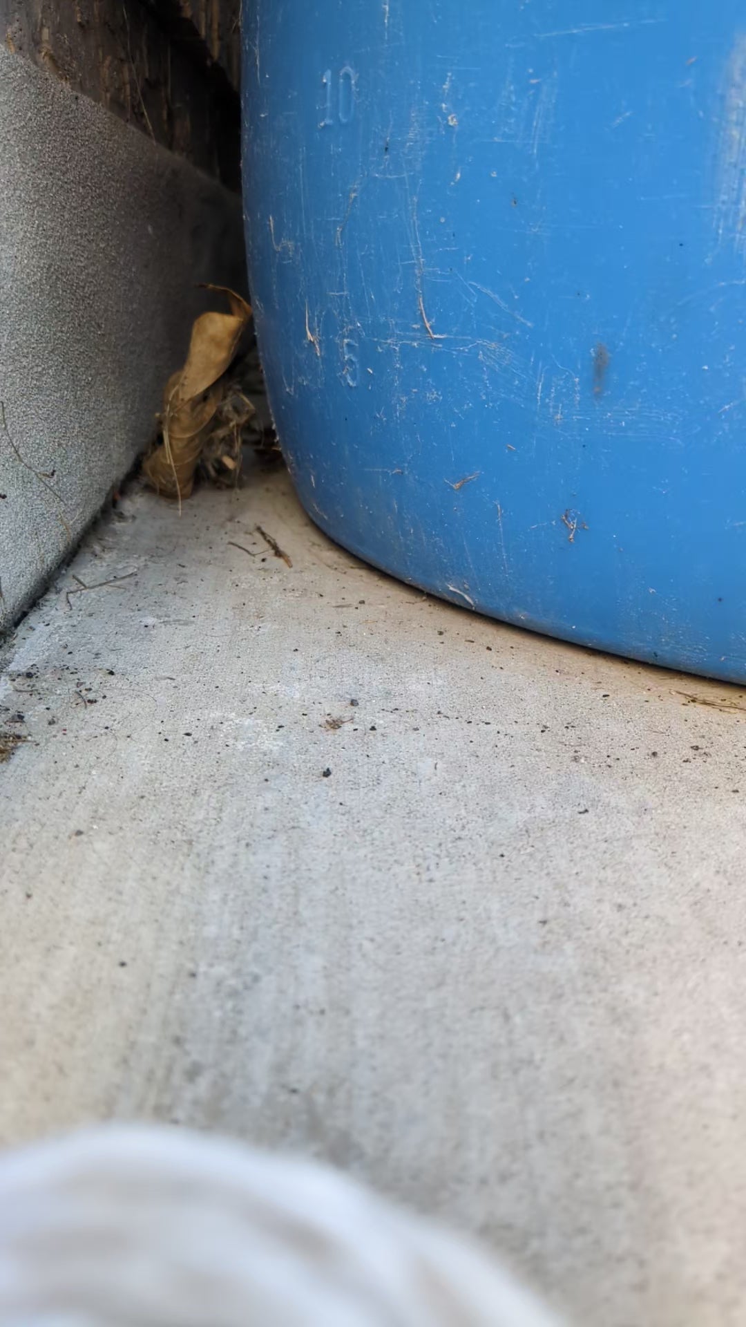 The Thunderstrike V2 | Graymarketairsoft